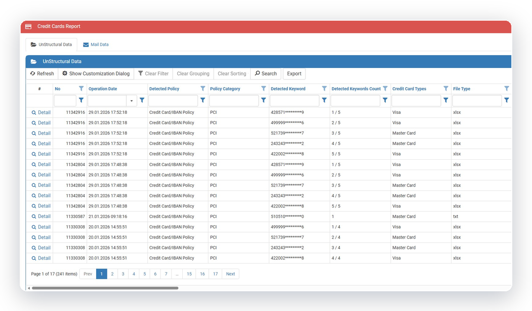 Veriket credit-card and PCI report showing detected cardholder data with masking